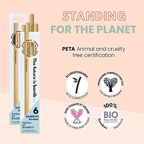 The Future Is Bamboo - Bamboo Straws (6pk) - Image 5