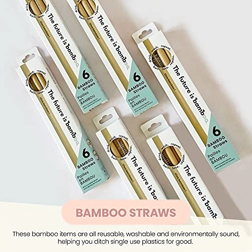 The Future Is Bamboo - Bamboo Straws (6pk) - Image 8