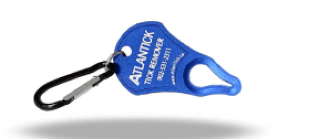 Atlantick Tick Removal Key (1un) - Image 5