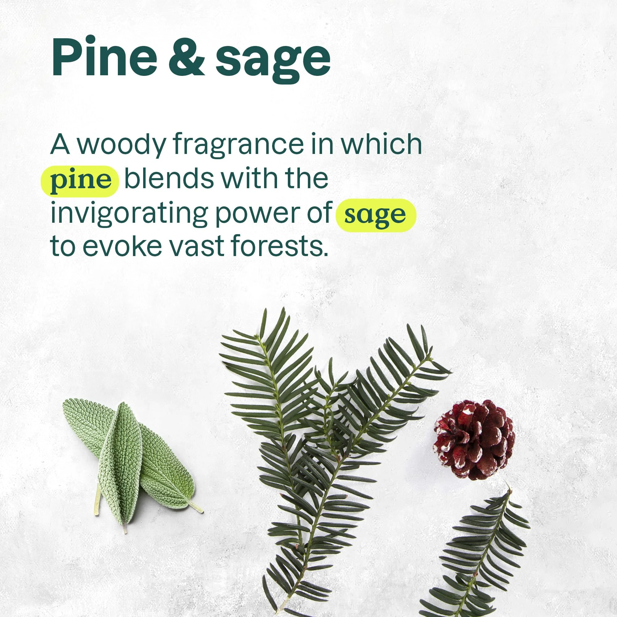Attitude - Hand Soap - Pine & Sage (473ml) - Image 10