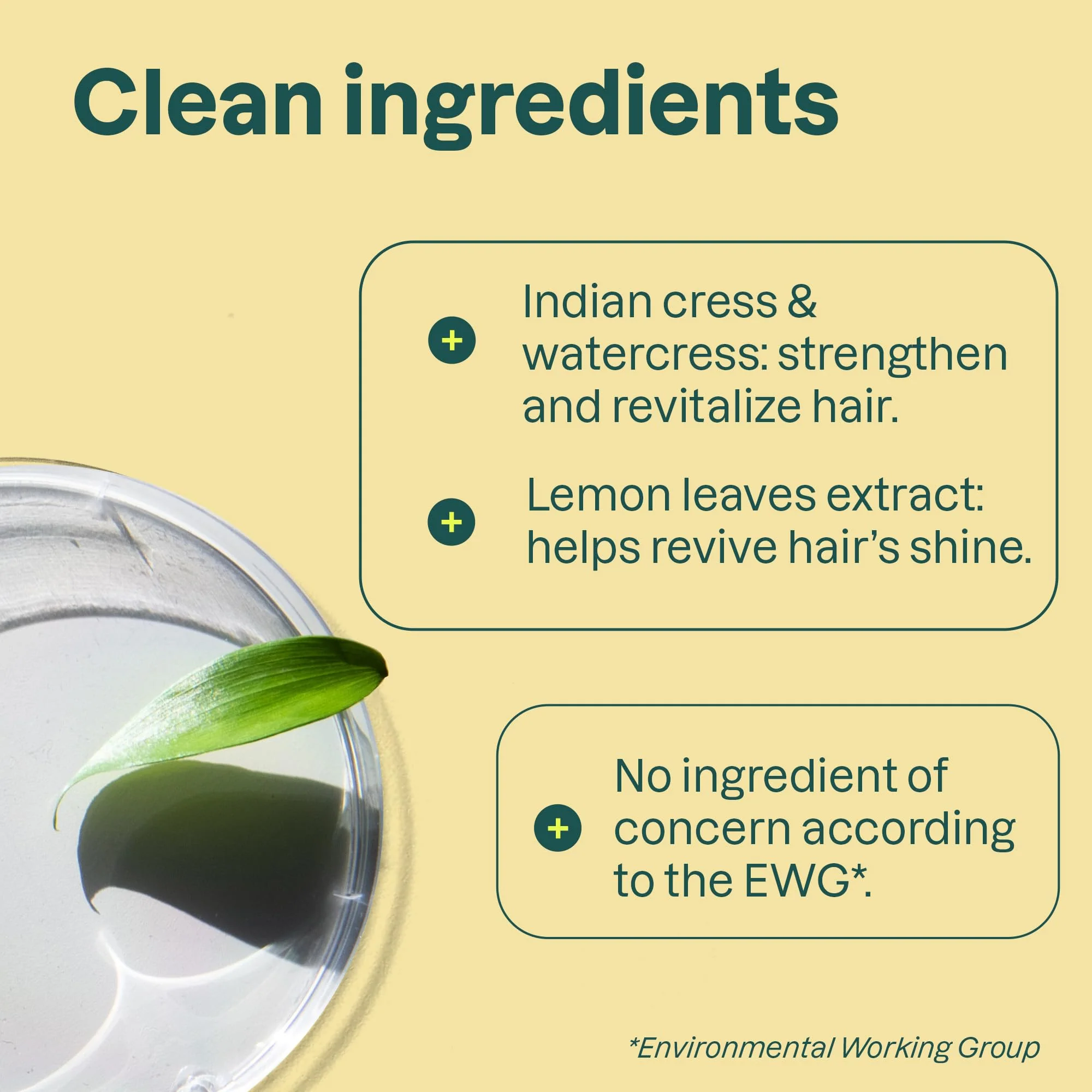 Attitude - Shampoo - Clarifying (473ml) - Image 10