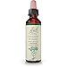 Bach - Centaury (20ml) - Image 3