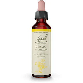 Bach - Cerato (20ml) - Image 2
