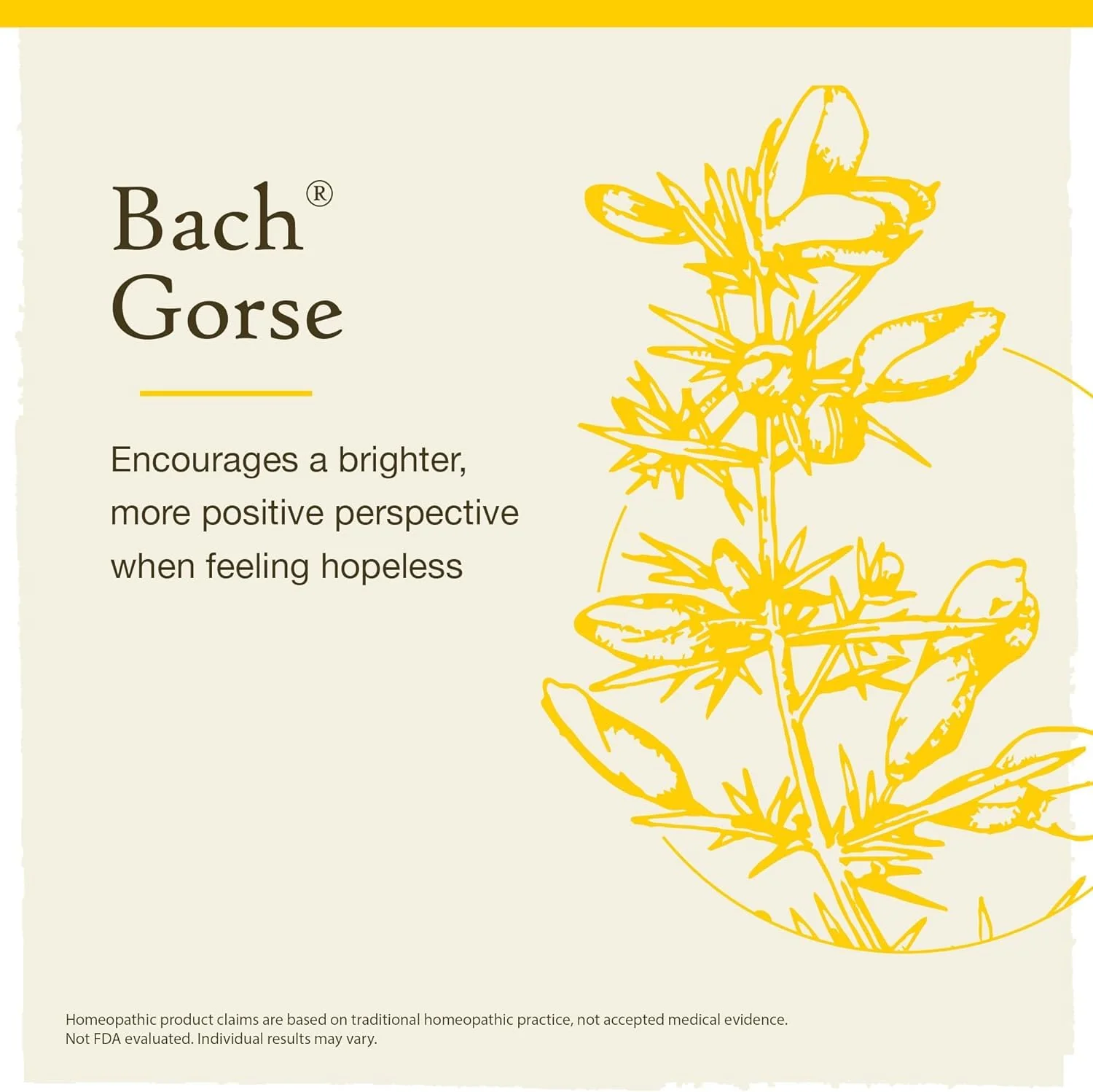Bach - Gorse (20ml) - Image 4