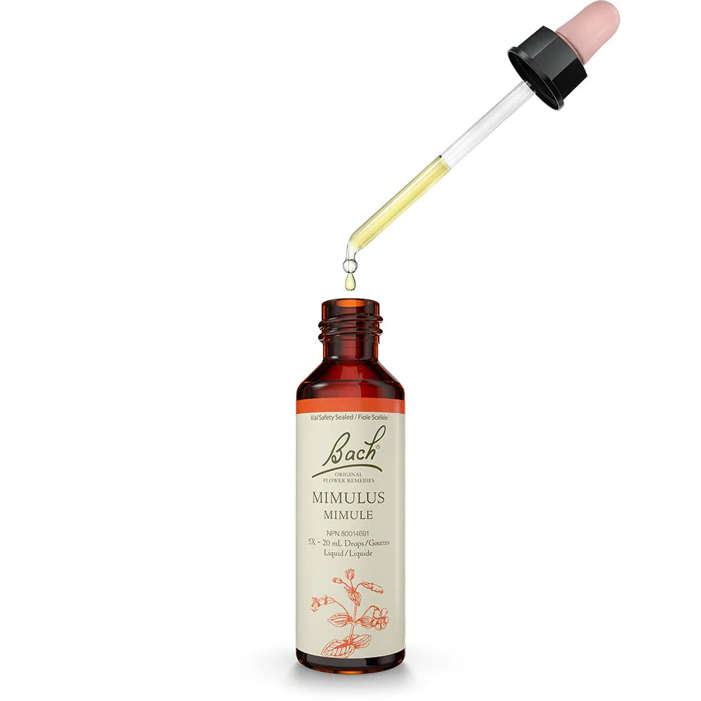Bach - Mimulu (20ml) - Image 4