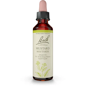 Bach - Mustard (20ml)