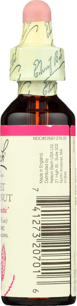 Bach - Sweet Chestnut (20ml) - Image 10