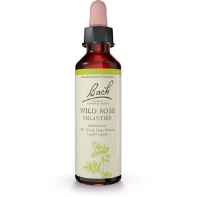 Bach - Wild Rose (20ml) - Image 2