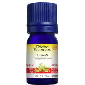 Divine Essence - Ajowan (Organic) (5ml) - Image 4