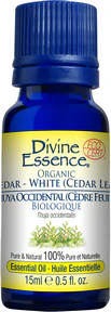Divine Essence - Cedar - White (Cedar leaf) (Org) (15ml) - Image 6