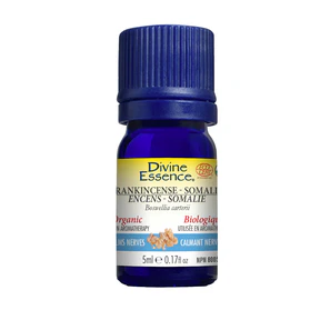 Divine Essence - Frankincense (Somalia) (Organic) (5ml) - Image 6