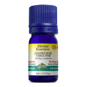 Divine Essence - Golden Rod (Organic) (5ml) - Image 5