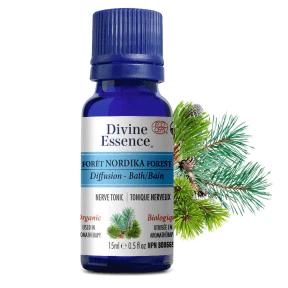 Divine Essence - Nordika Forest (Organic) (15ml) - Image 3