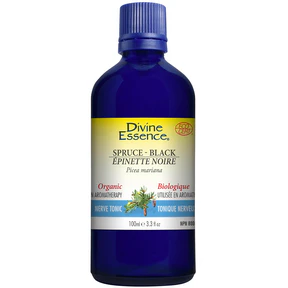 Divine Essence - Spruce - Black (Organic) (100ml) - Image 4