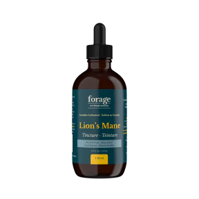 Forage Hyperfoods - Lion's Mane Tincture - Alcohol Free (118ml) - Image 3