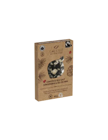 Galerie au Chocolat - FT Mini Bar Drk Choc Ginger & Slt (40g) - Image 2