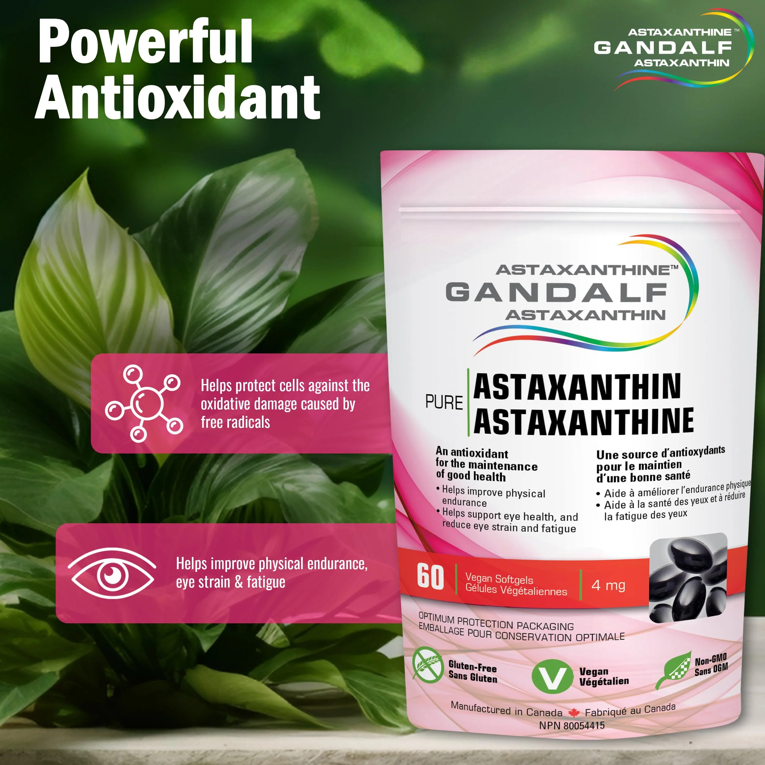 Gandalf - Astaxanthin 4mg, 60 Vcaps - Gandalf - Image 3