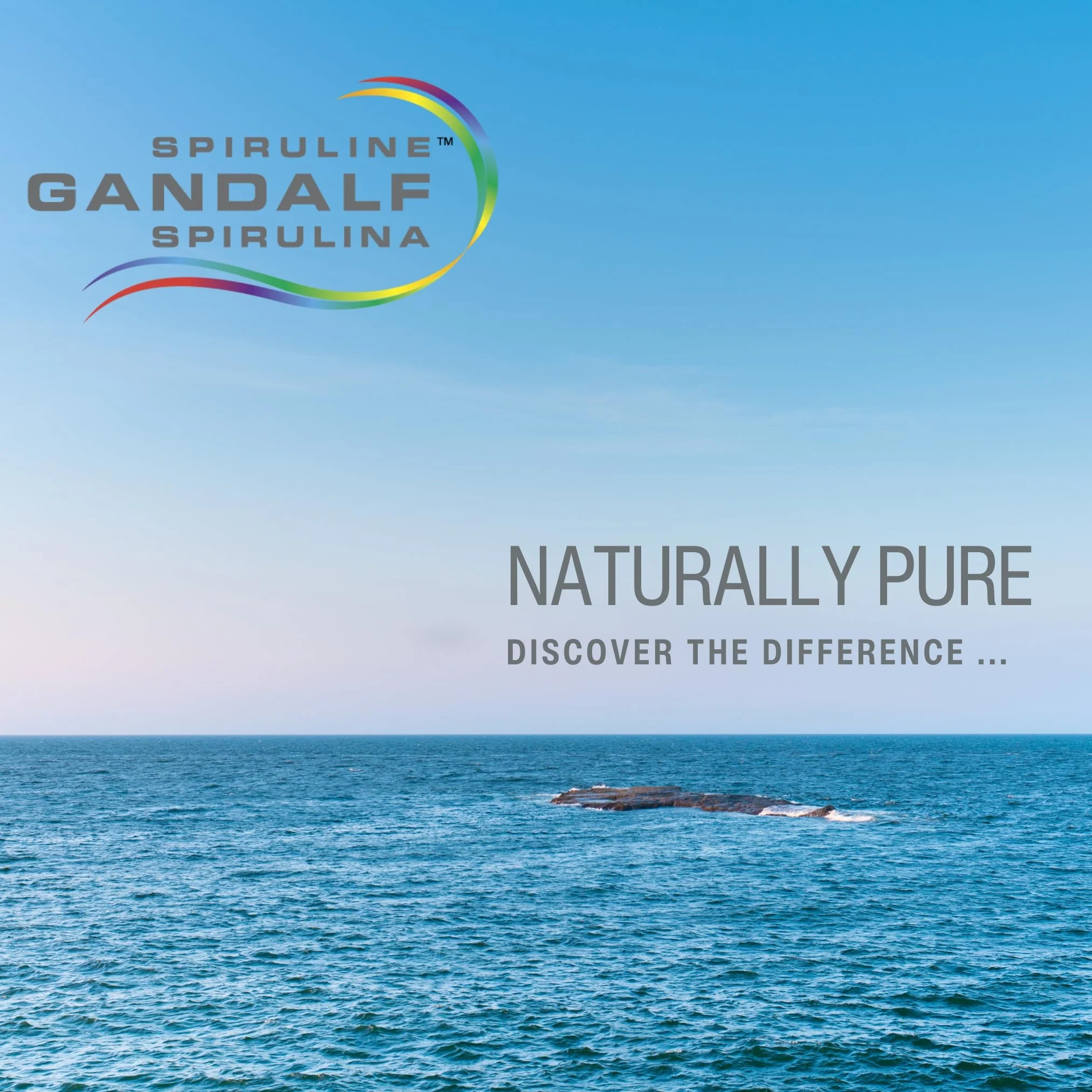 Gandalf - Hawaiian Spirulina 1000mg, 120 tabs - Gandalf - Image 7