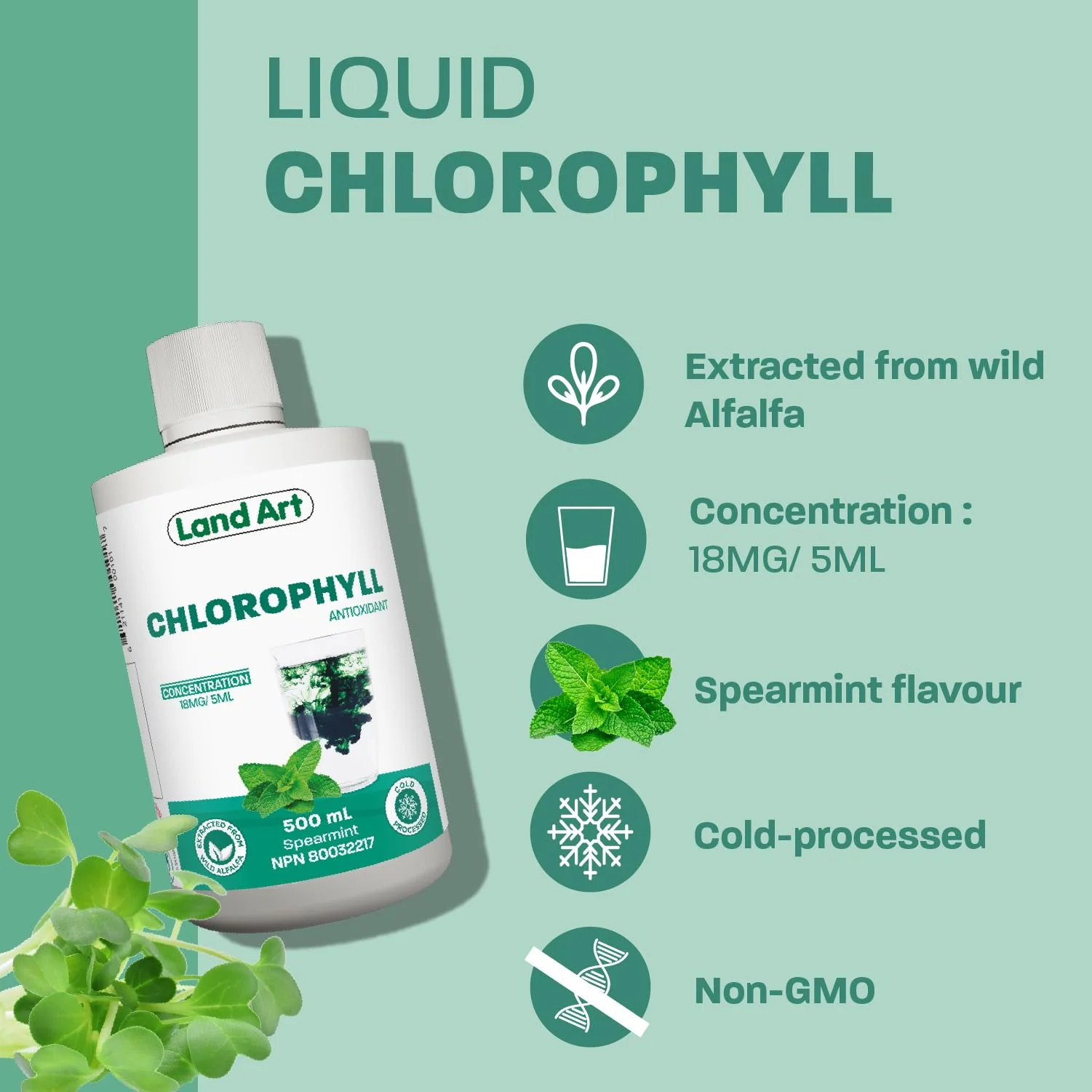 Land Art - ChlOralfa Breath Freshener - Mint (20ml) - Image 6