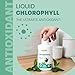 Land Art - ChlOralfa Breath Freshener - Mint (20ml) - Image 8