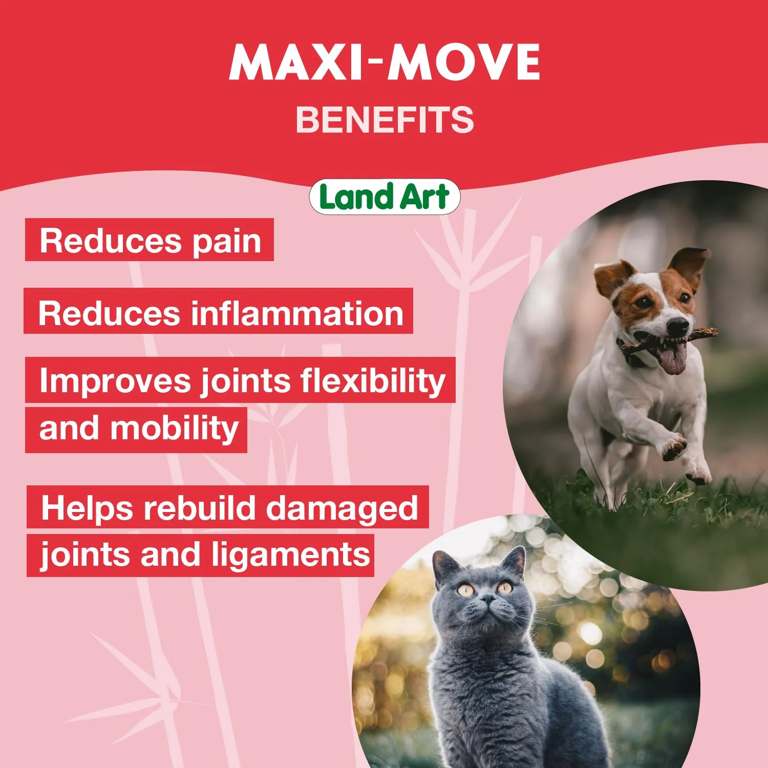 Land Art - Maxi-Move (240ml) - Image 9