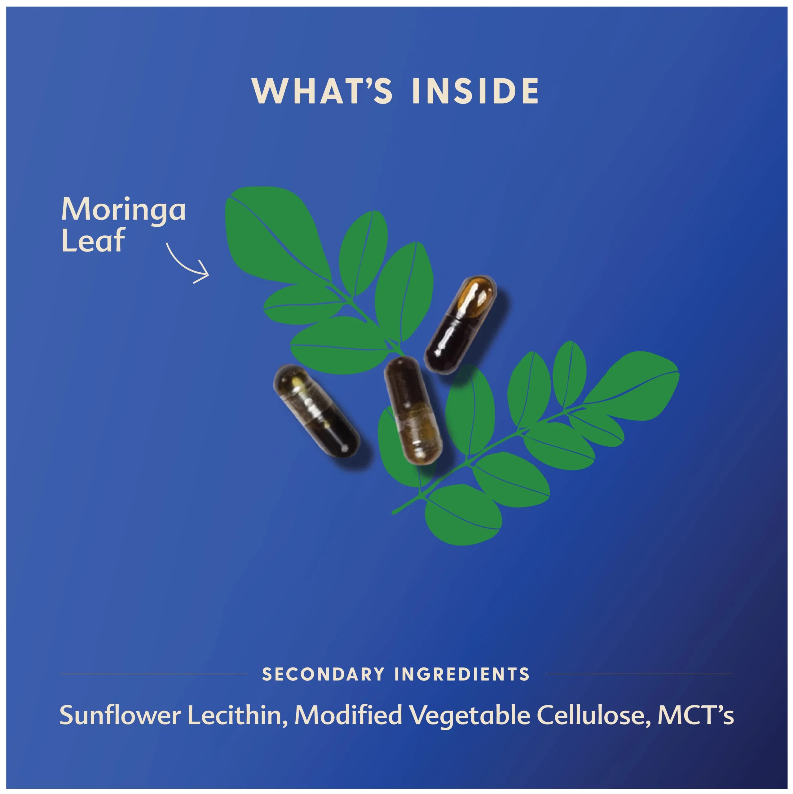 Motherlove - Moringa, 60vcap - Image 3