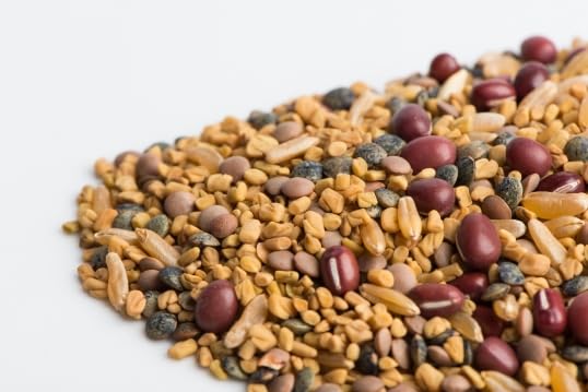 Mumm's Sprouting Seeds - Ancient Eastern Blend (125g) - Image 4