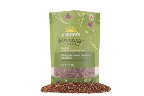 Mumm's Sprouting Seeds - Broccoli Brassica Blend (100g) - Image 2