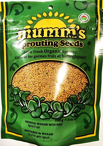 Mumm's Sprouting Seeds - Oriental Wasabi Mustard (100g) - Image 2