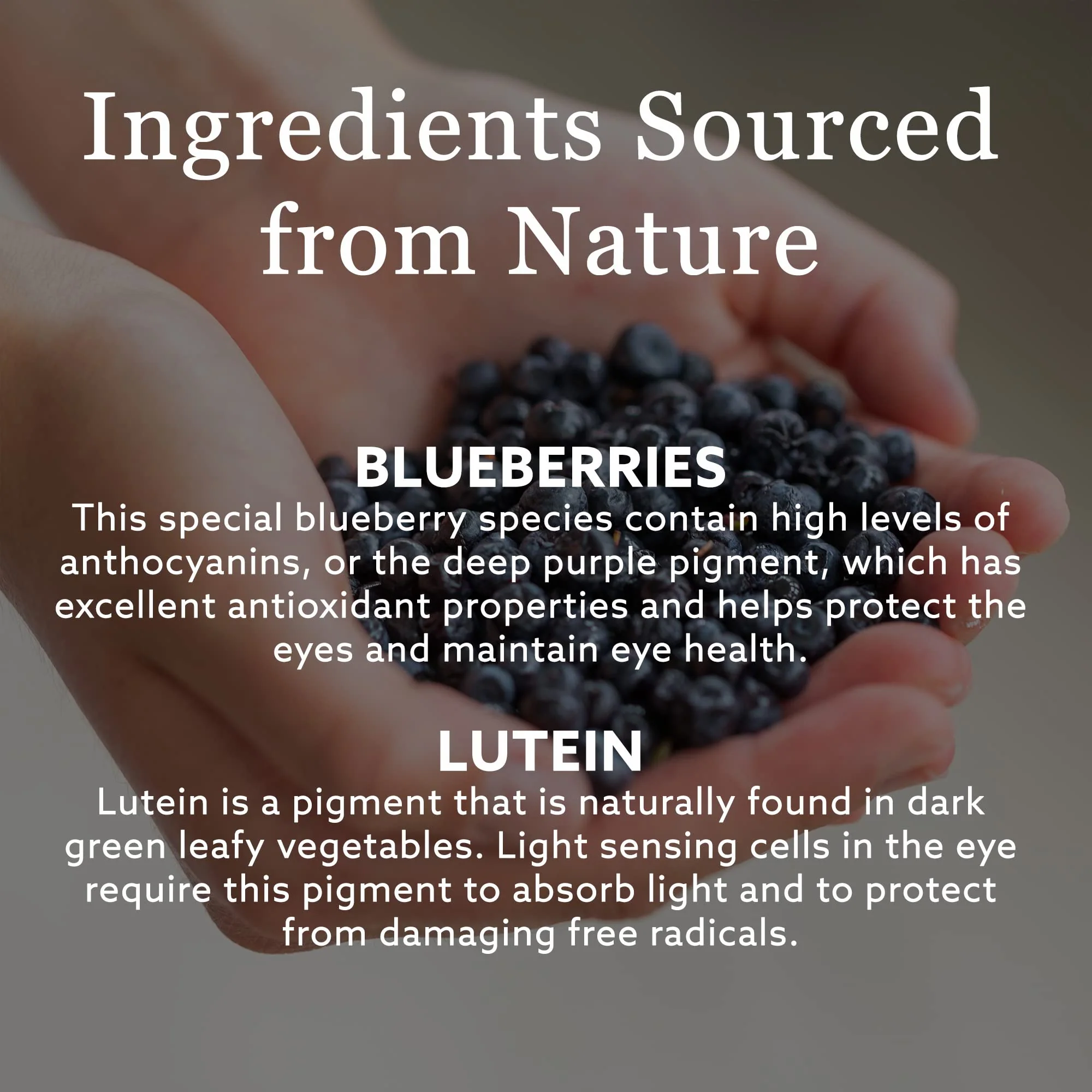 New Nordic - Blue Berry Strong (60tab) - Image 6