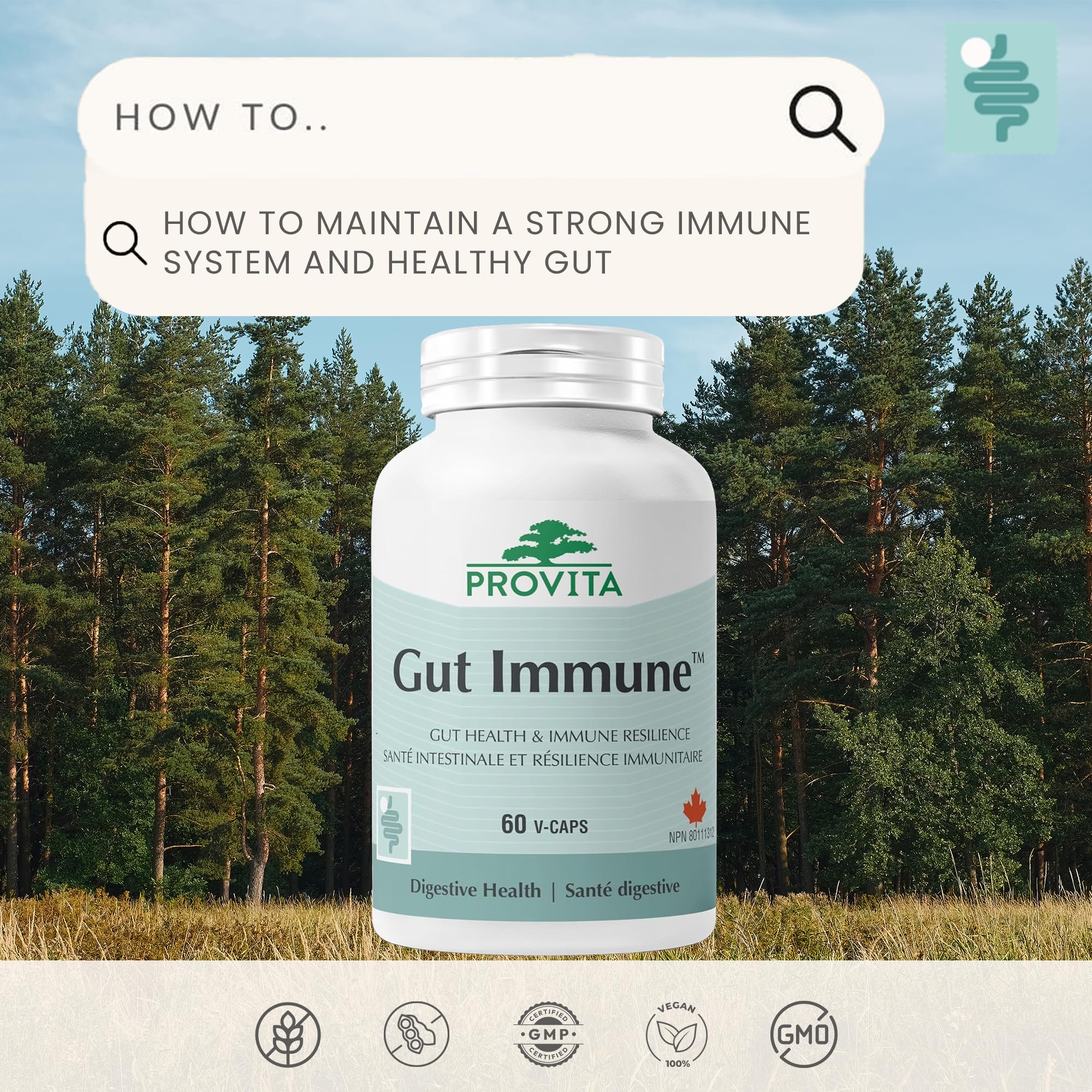 Provita - Gut Immune, 60 vcaps - Provita - Image 6