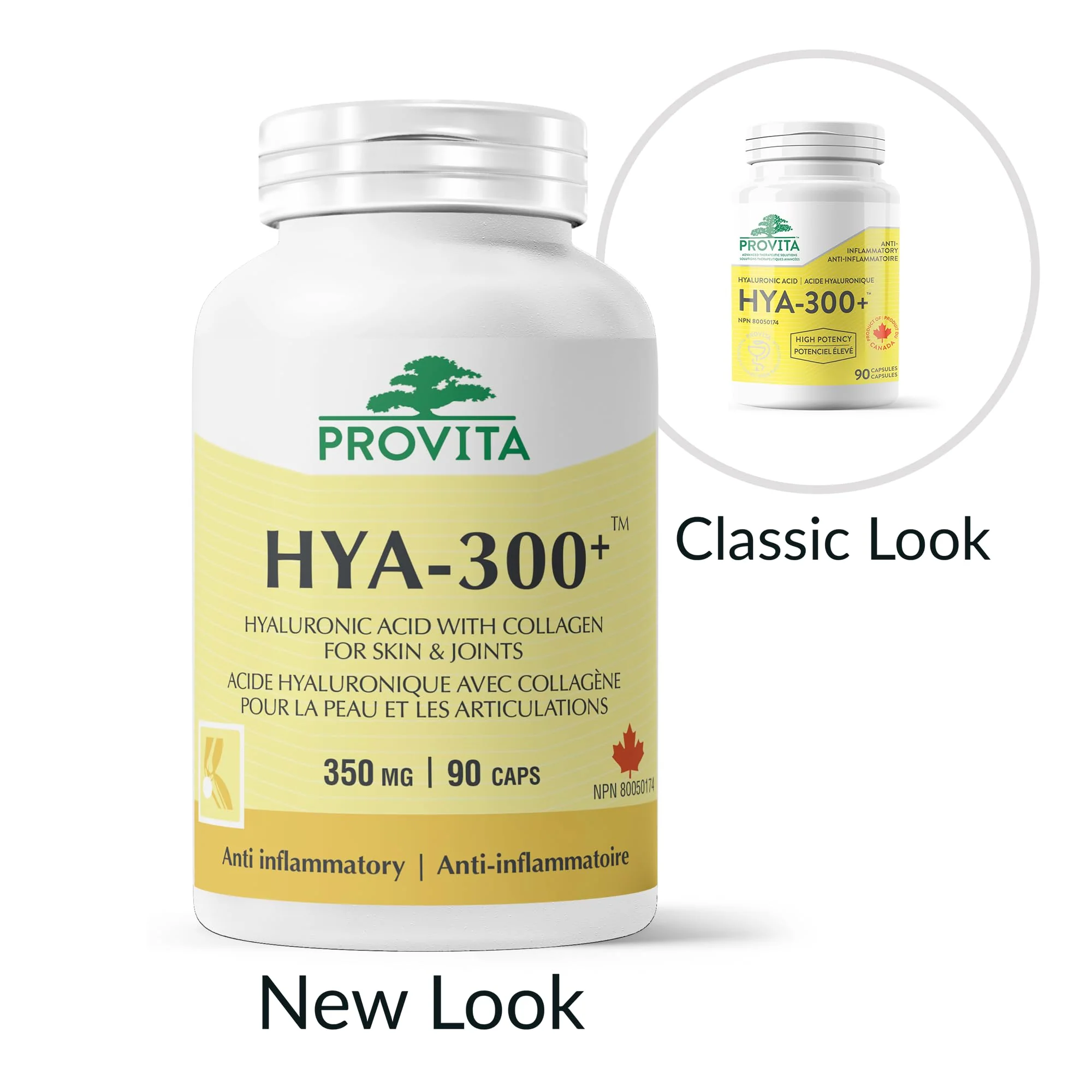 Provita - HYA-300+ (90caps) - Image 6