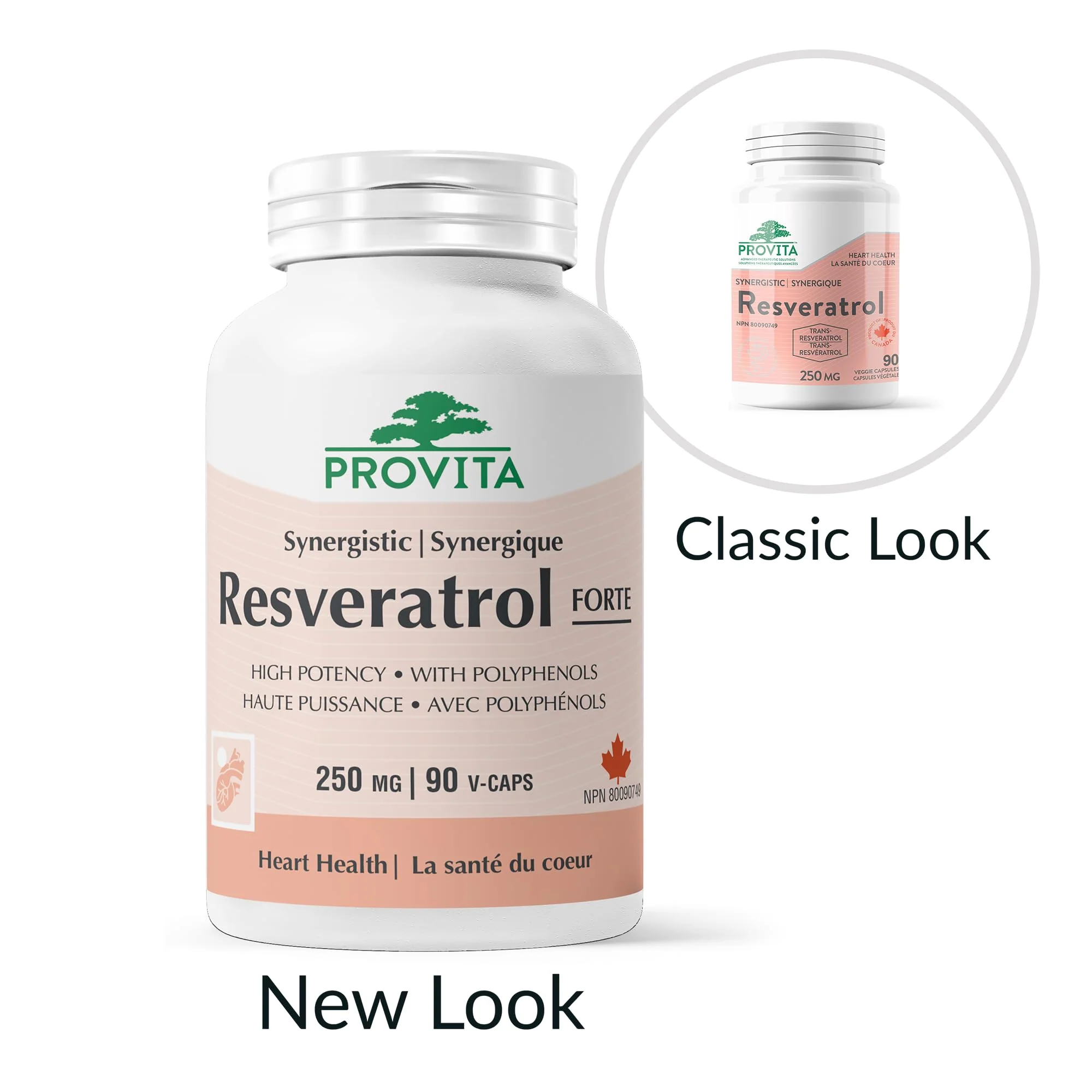 Provita - Resveratrol Forte 90 caps - Provita - Image 6