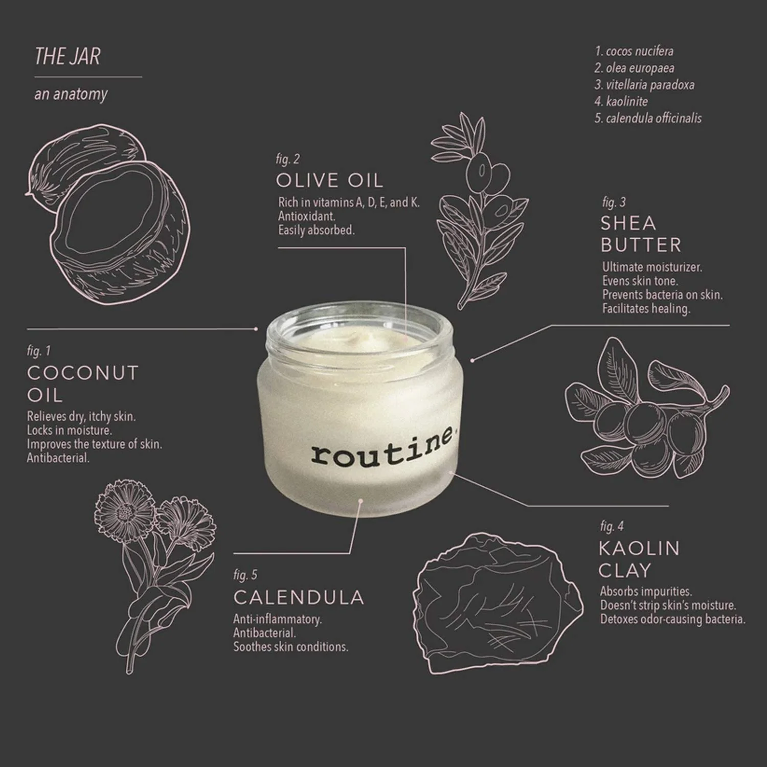 Routine Natural Beauty - Johnny's Cash (vegan) Deo Jar (58g) - Image 2