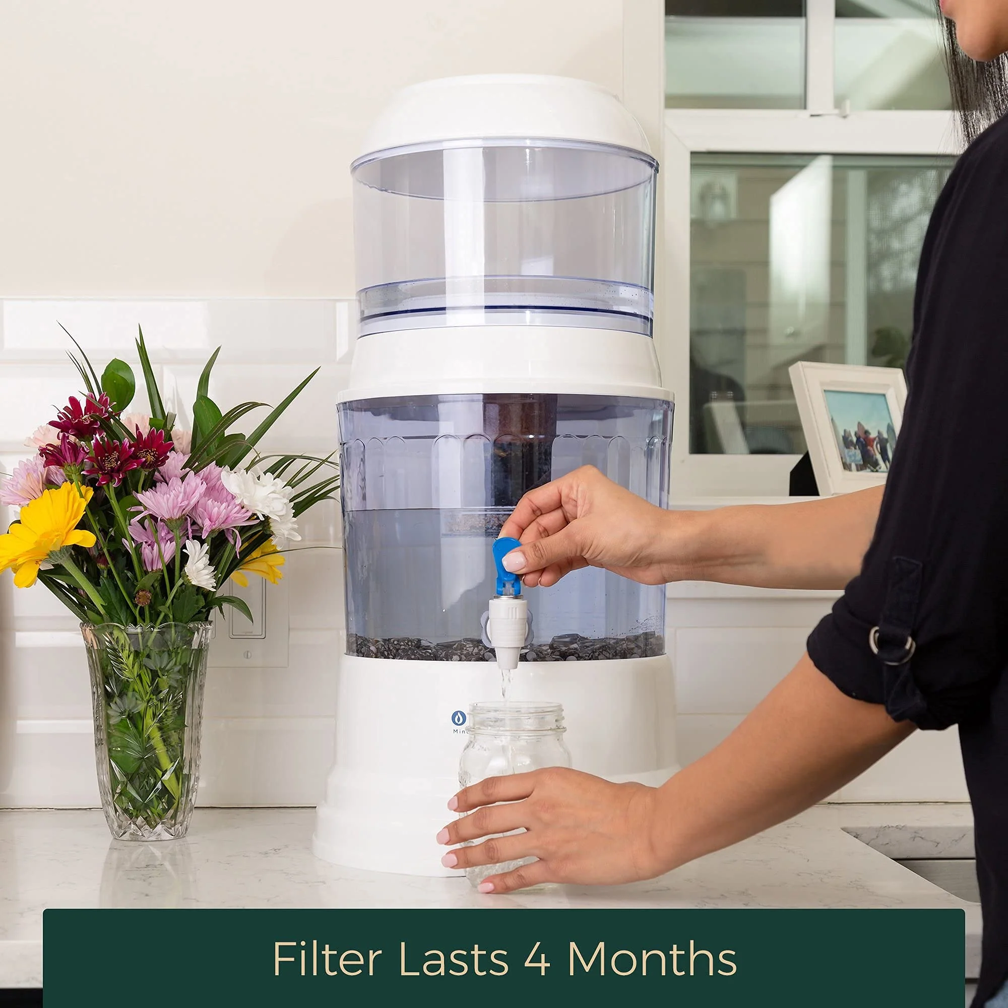 Santevia Systems - Fluoride Filter - Image 5