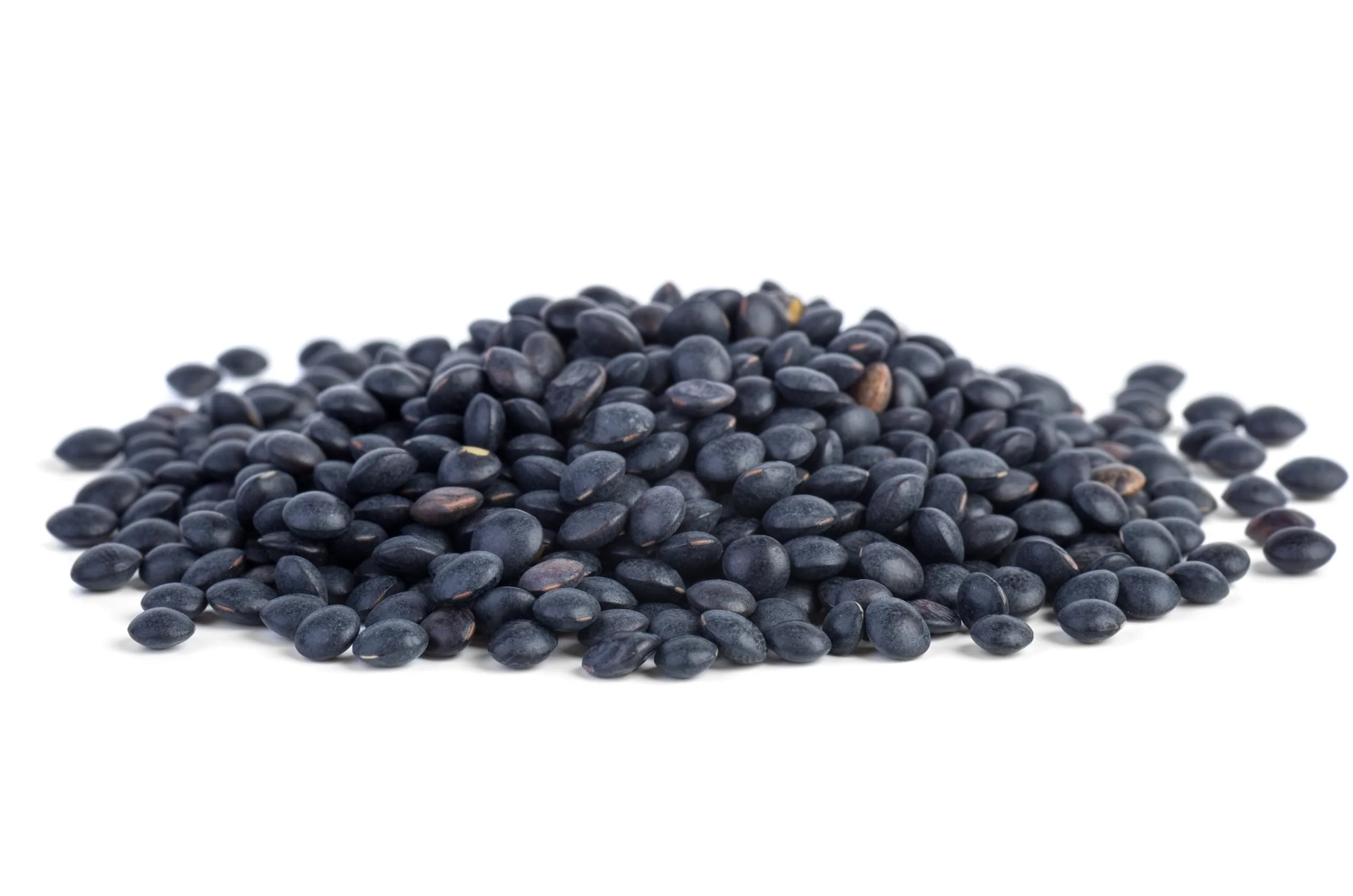 Splendor Garden - Organic Beluga Black Lentils (600g) - Image 9