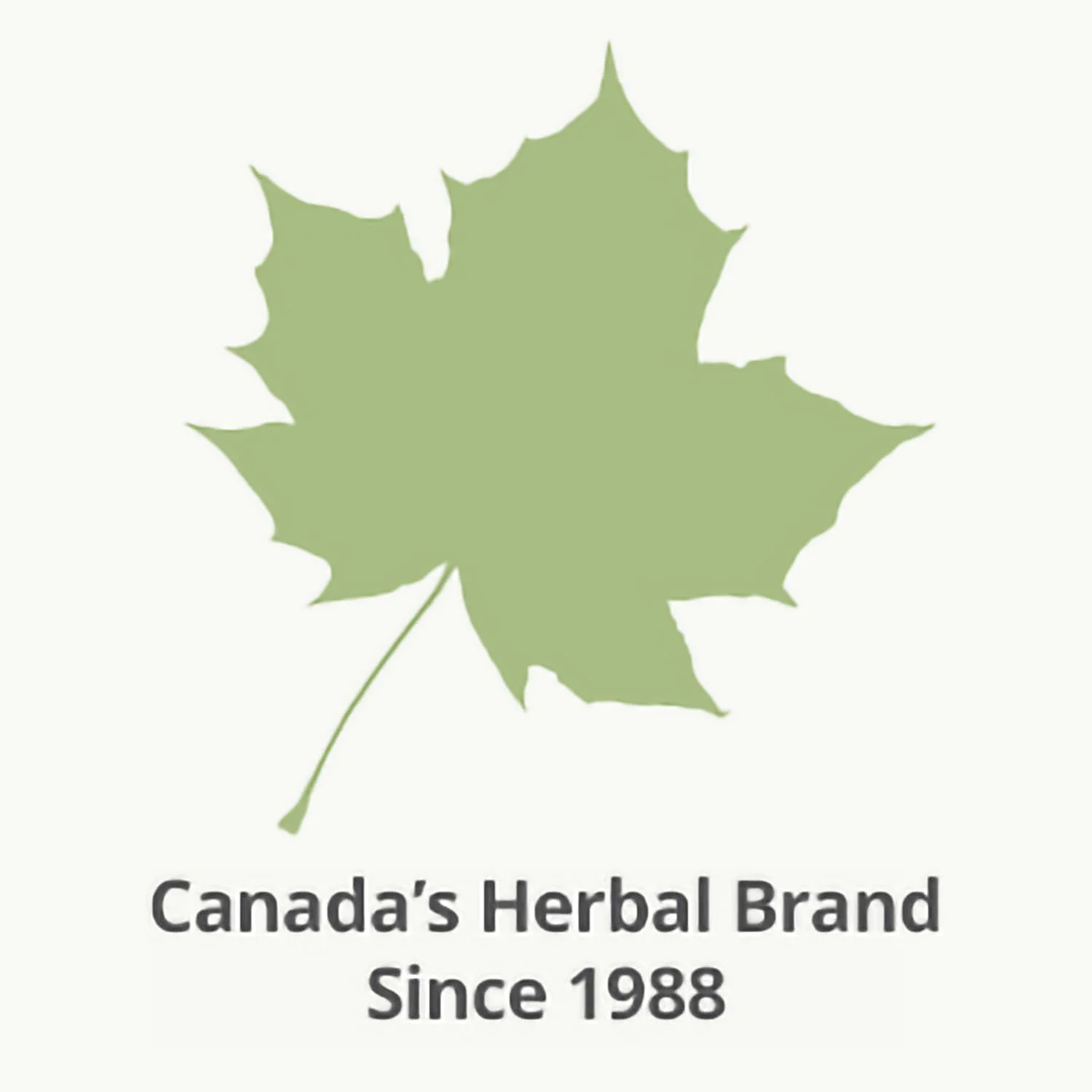 St. Francis Herb Farm - Calendula Oil (50ml) - Image 3