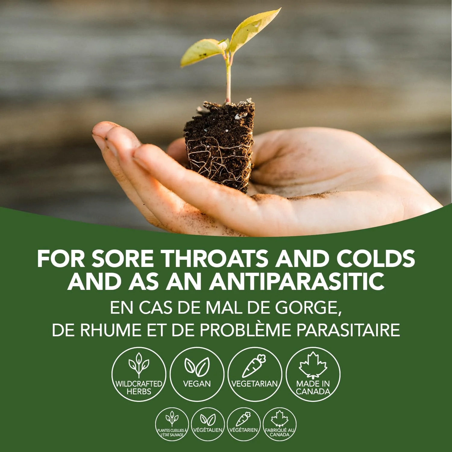St. Francis Herb Farm - Pau D'Arco (50ml) - Image 7