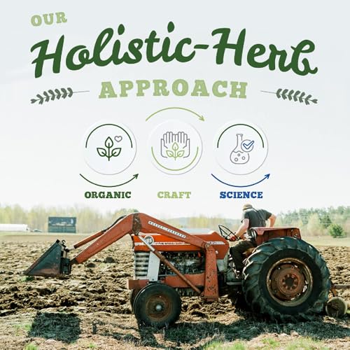 St. Francis Herb Farm - Rose Hip Oil (50ml) - Image 8