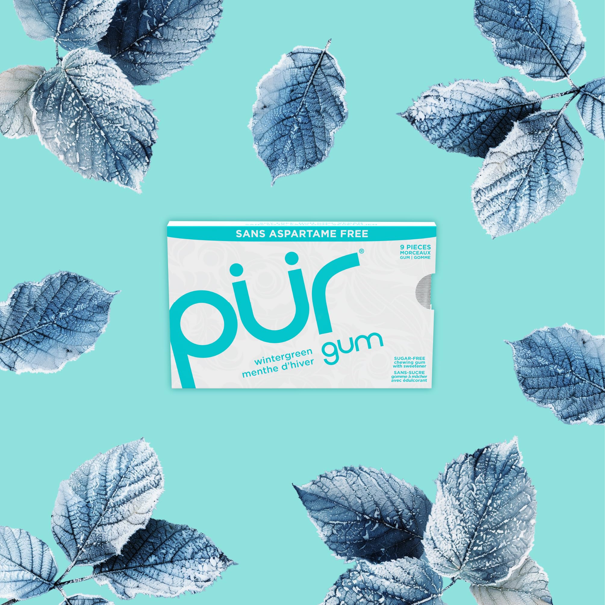 The Pur Company - GBL-Wintergreen (9ct,12/tray) - Image 3