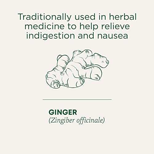 Traditional Medicinals - Organic Ginger Aid (16bg) - Image 5