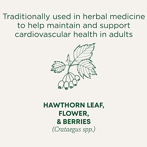 Traditional Medicinals - Organic Hawthorn With Hibiscus (16bg) - Image 4