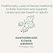 Traditional Medicinals - Organic Hawthorn With Hibiscus (16bg) - Image 5