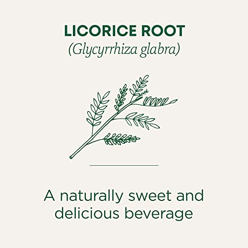 Traditional Medicinals - Organic Licorice Root (16bg) - Image 4