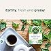 Traditional Medicinals - Organic Nettle Leaf (16bg) - Image 9