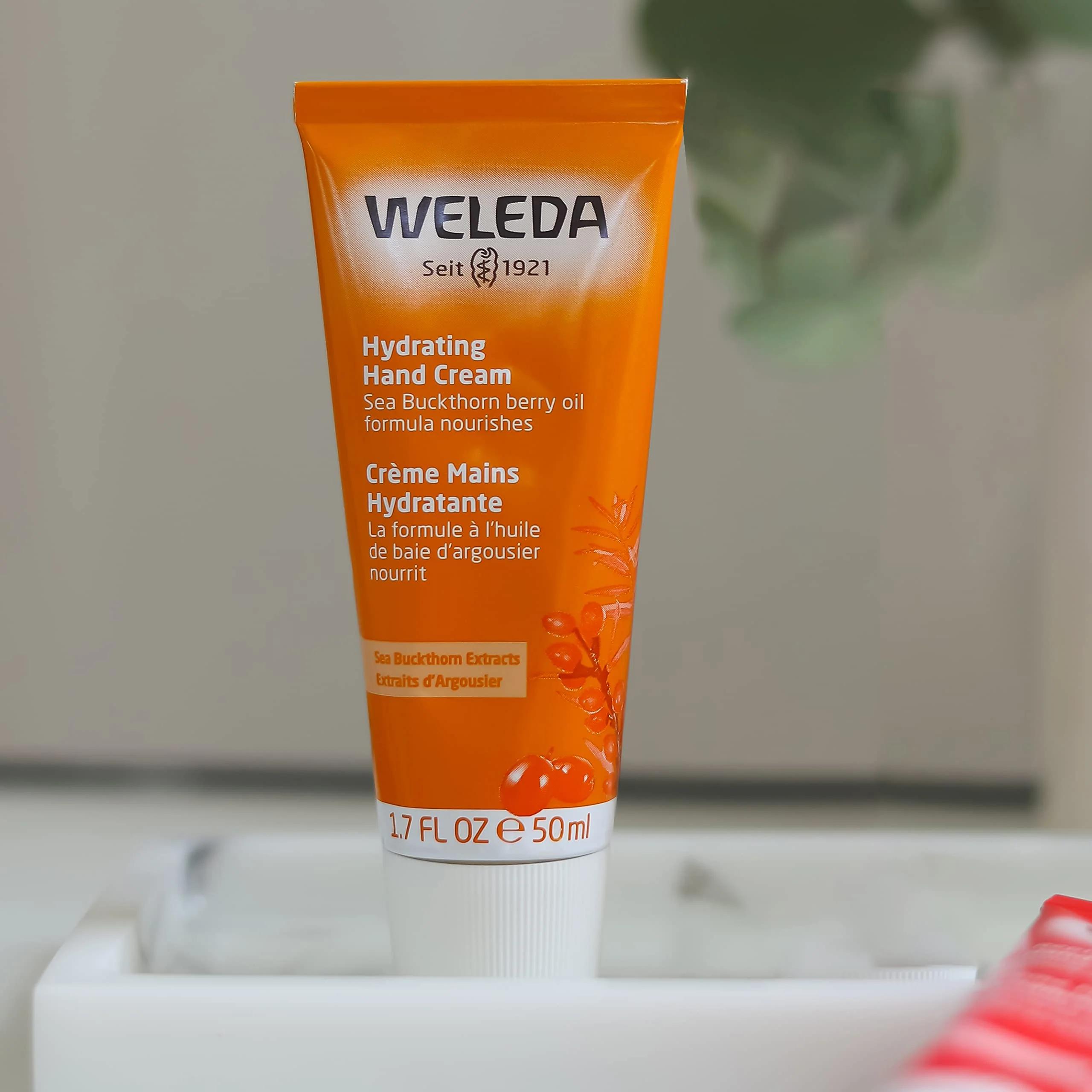 Weleda - Hydrating Hand Cream (50ml) - Image 10