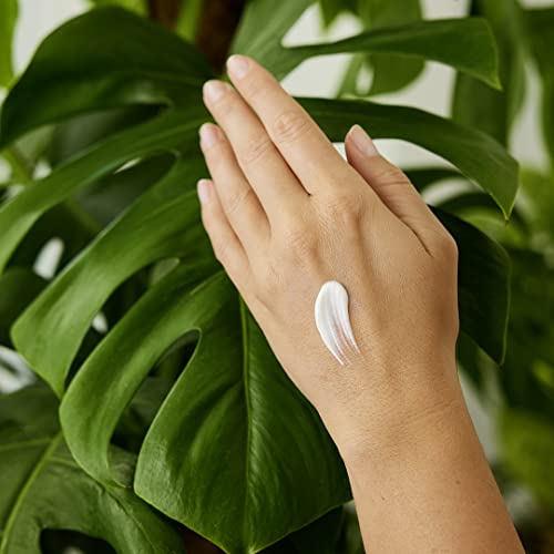 Weleda - Hydrating Hand Cream (50ml) - Image 5
