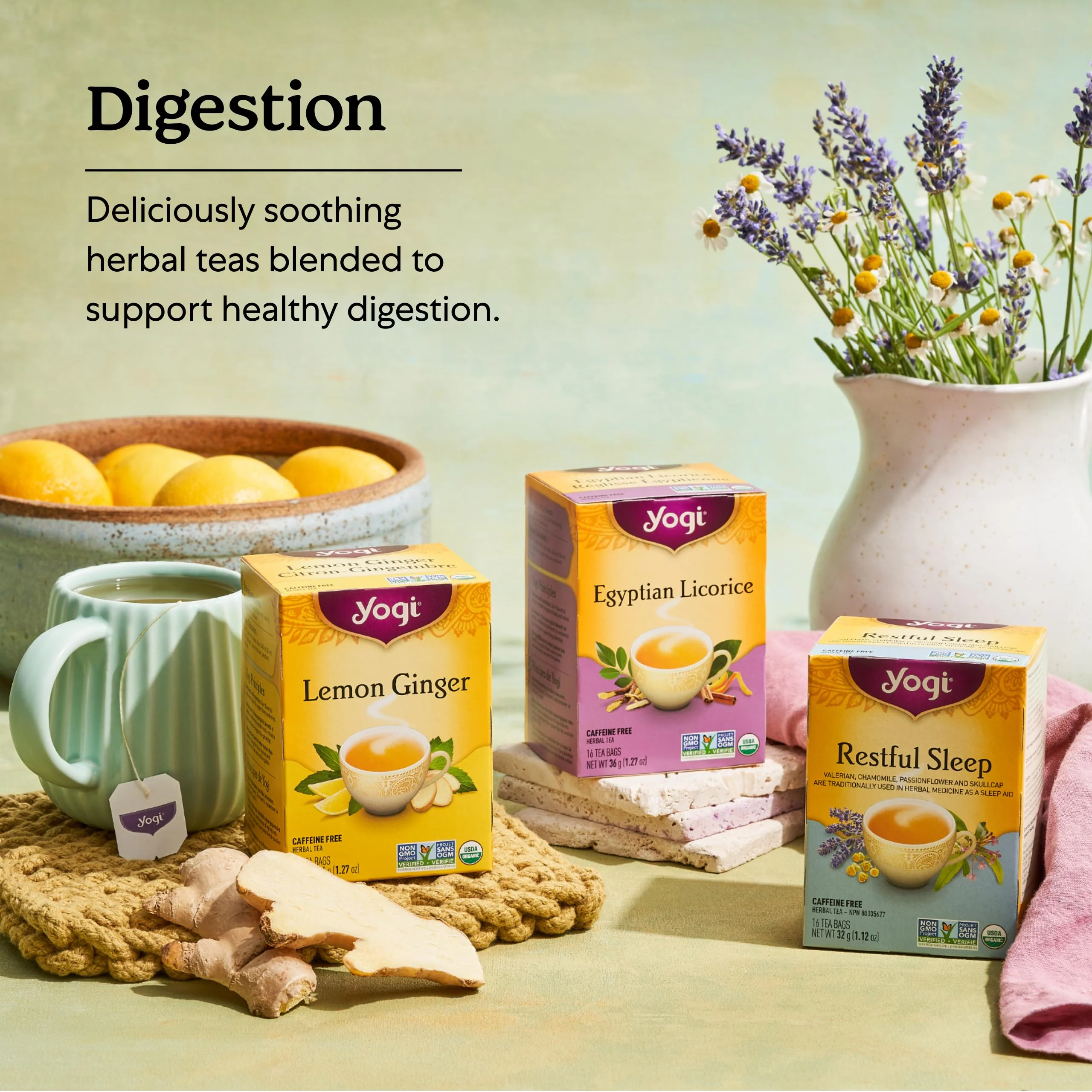 Yogi - Mango Ginger Digestive Support (16ct) - Image 5